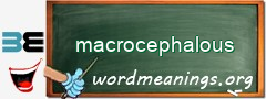 WordMeaning blackboard for macrocephalous